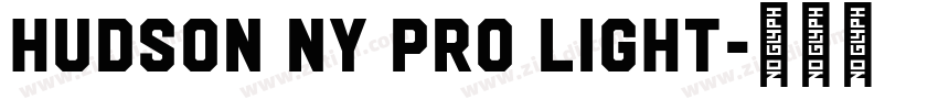 Hudson NY Pro Light字体转换